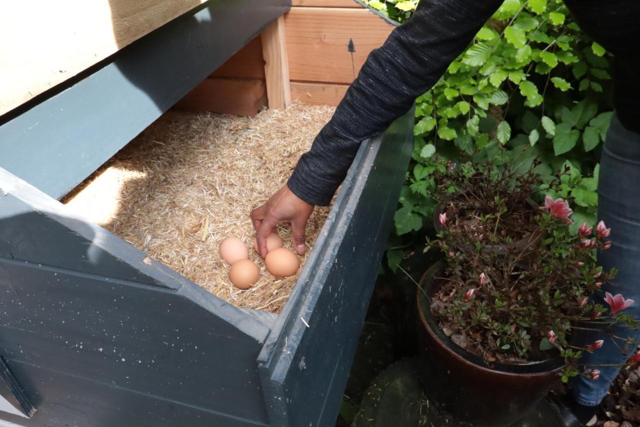 B&B Porcini Ermelo Luaran gambar