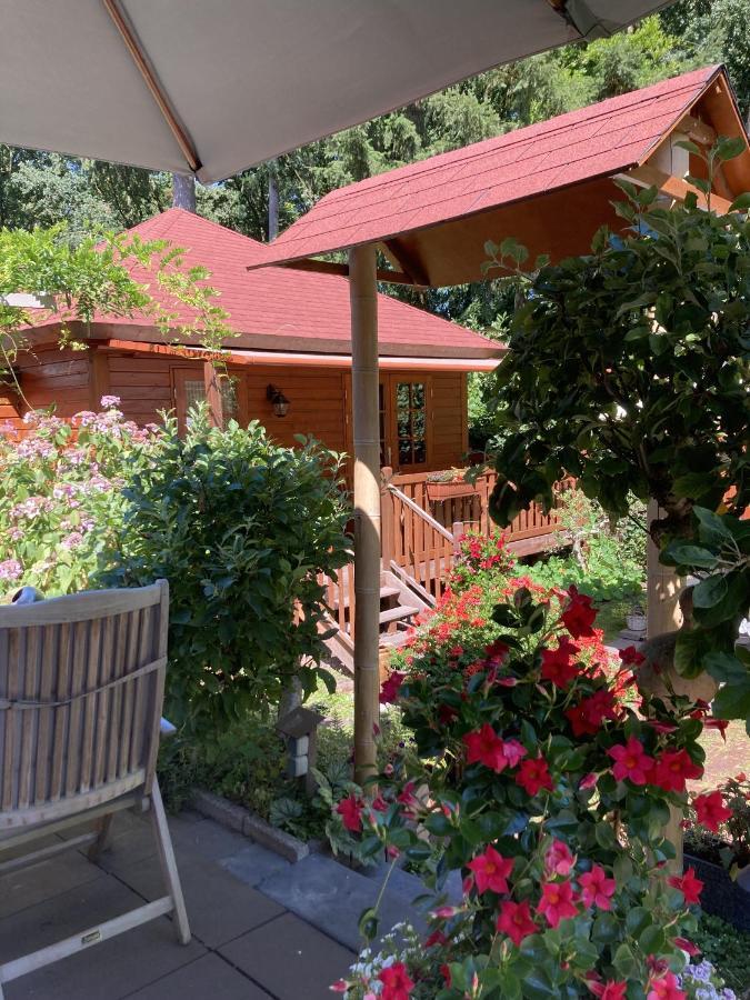 B&B Porcini Ermelo Luaran gambar
